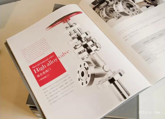 閥門畫(huà)冊(cè)  第6張