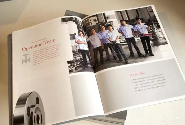 閥門畫(huà)冊(cè)  第5張